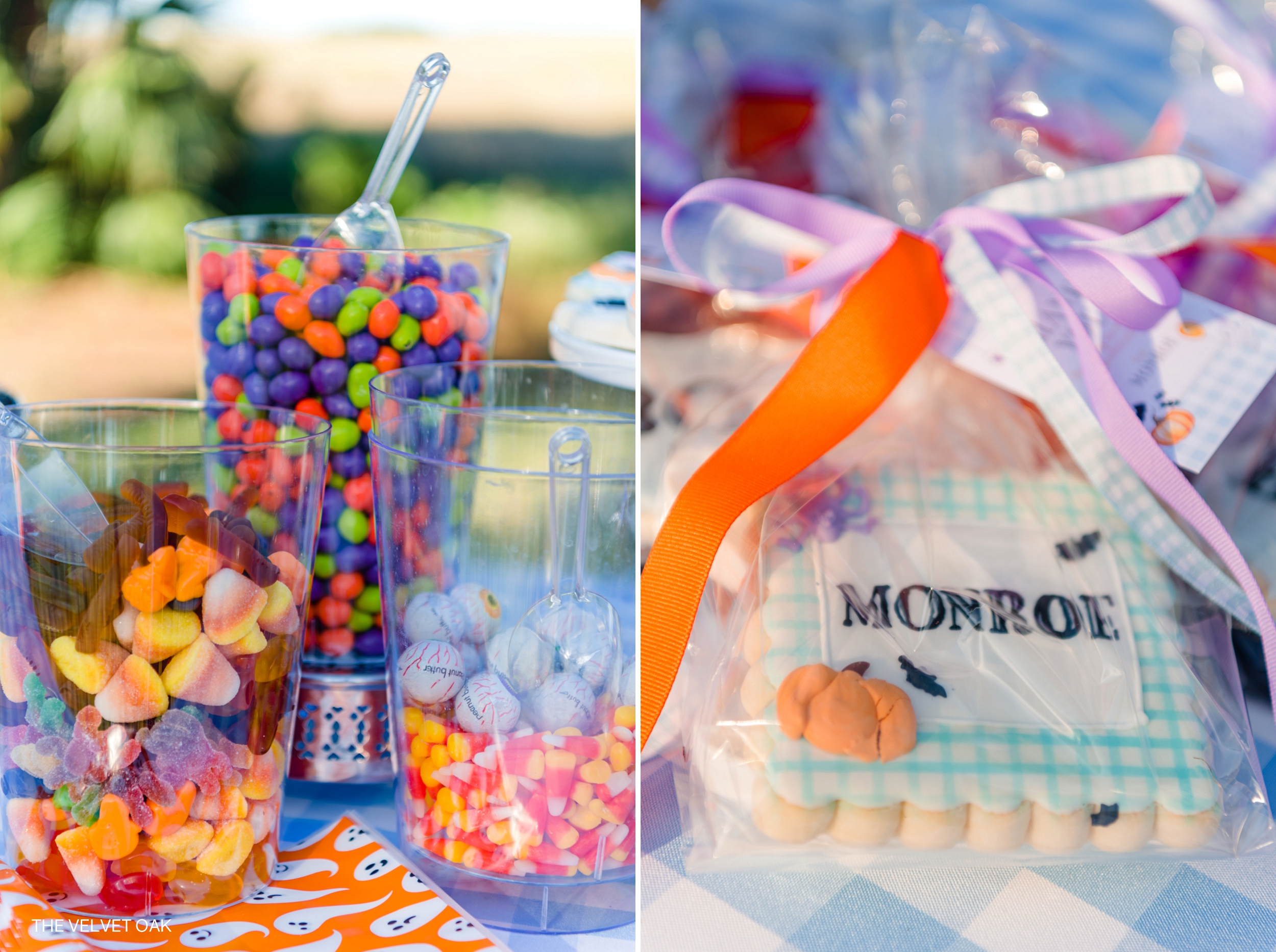 Birthday party photography by Birthday party photographer
